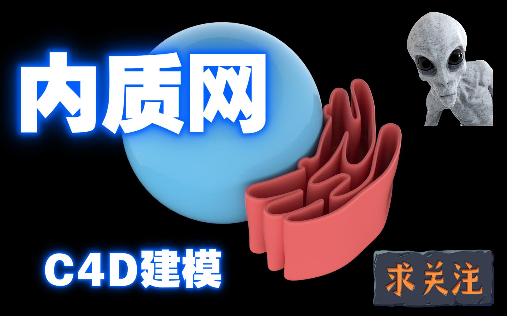 C4D建模 细胞内细胞器之 内质网(3D科研绘图)哔哩哔哩bilibili