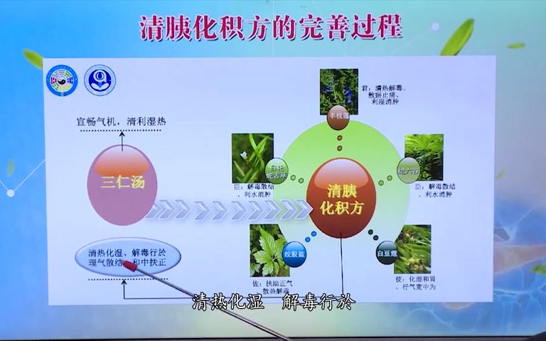 肿瘤专家刘鲁明讲解清胰化积方对胰腺癌的治疗作用哔哩哔哩bilibili