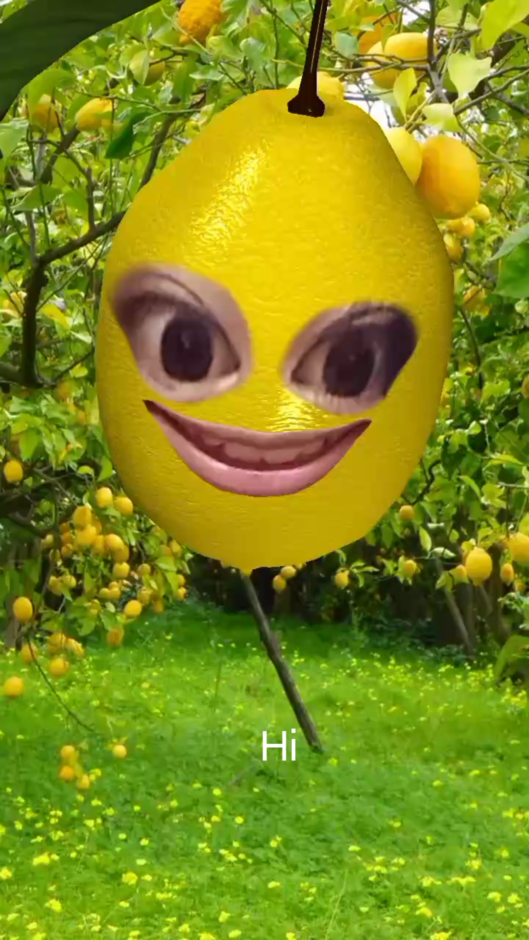 第一次使用柠檬头