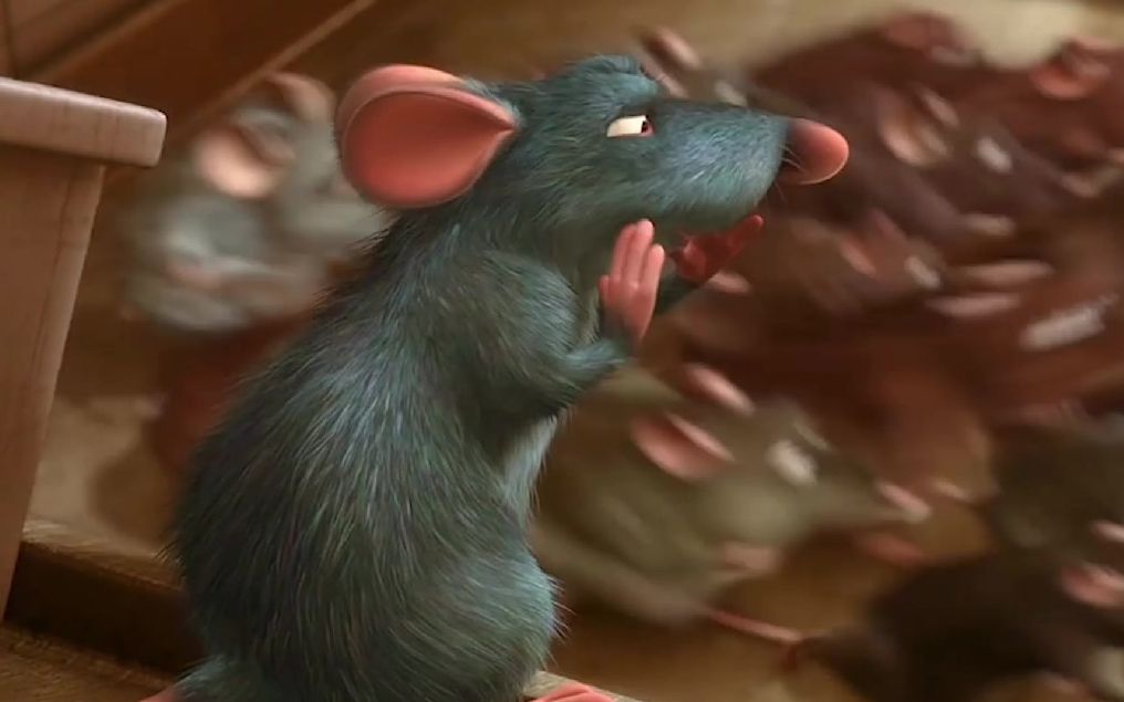 【美食总动员】厨房有一只老鼠大厨是什么体验