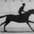 【埃德沃德 · 迈布里奇】飞驰中的萨利 · 加德纳 Sallie Gardner at a Gallop (1878)