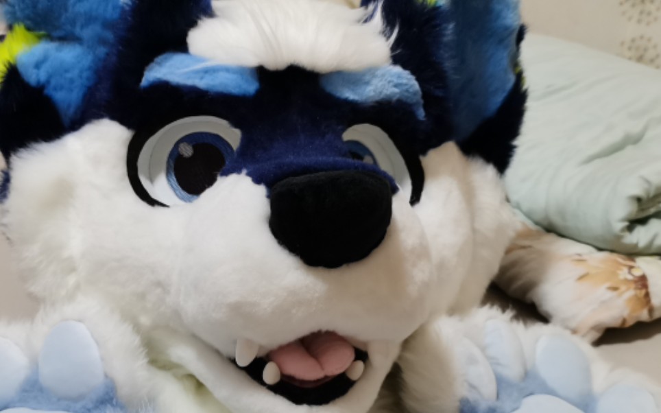 fursuit兽装头部展示