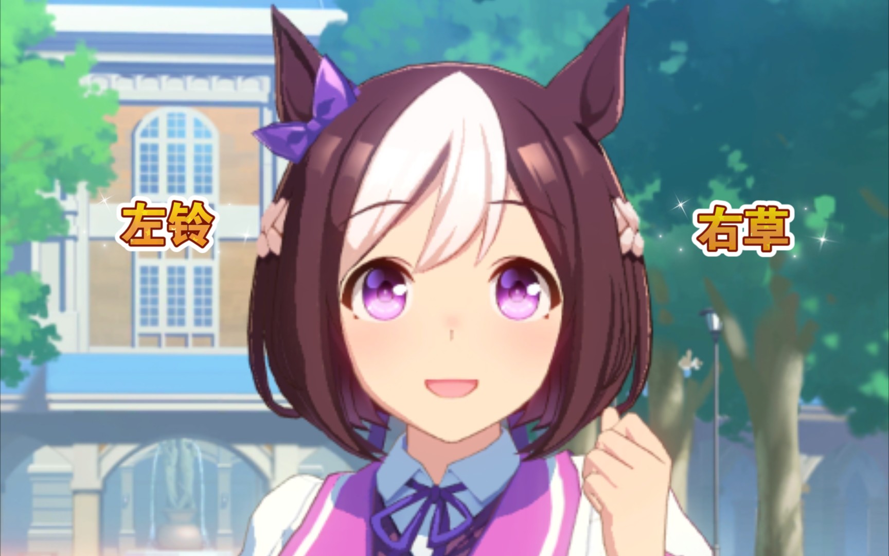 【赛马娘】比翼双飞特别周