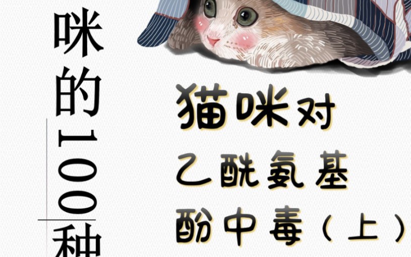 猫对乙酰氨基酚中毒哔哩哔哩bilibili