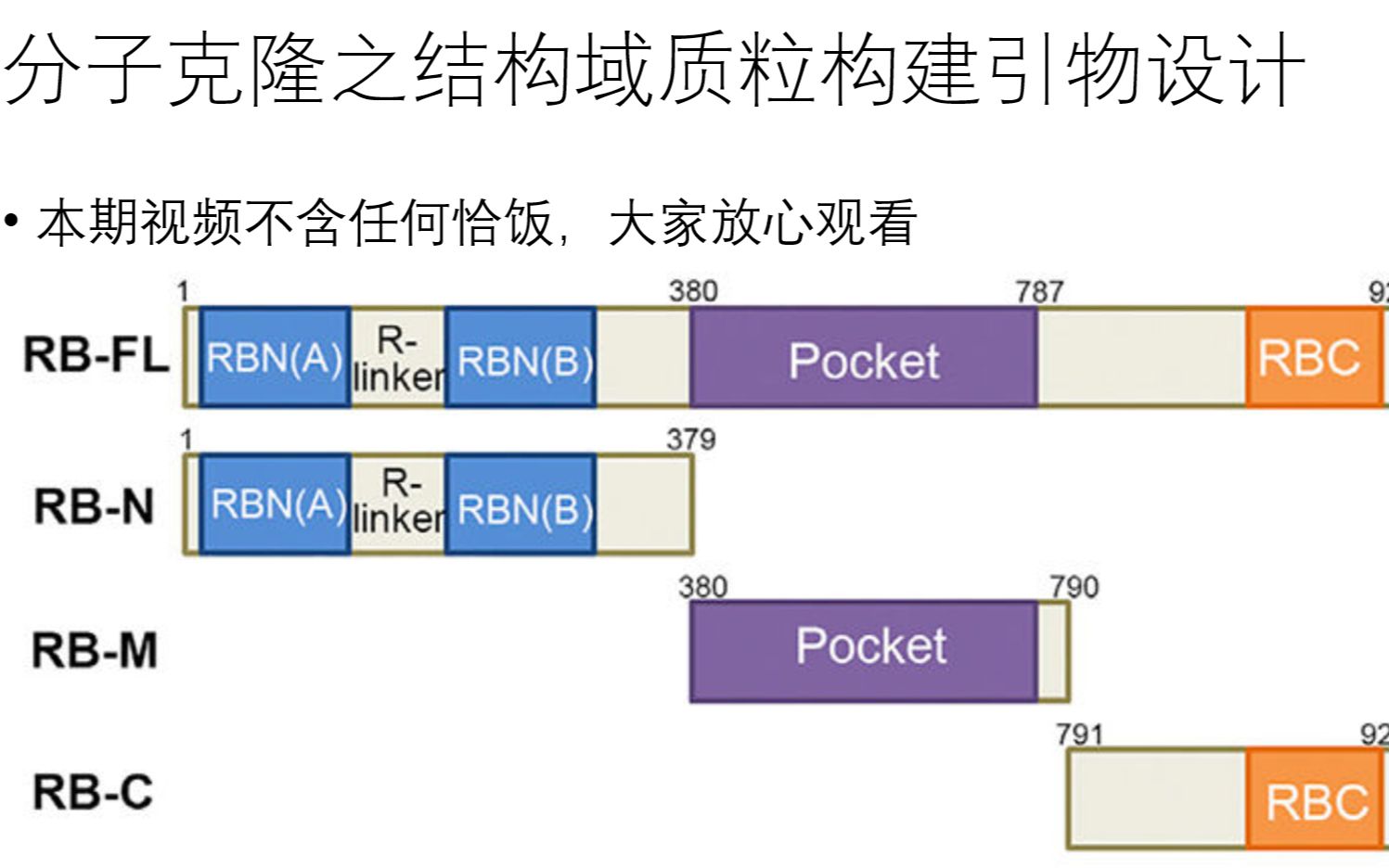 零基础入门分子克隆结构域引物设计哔哩哔哩bilibili