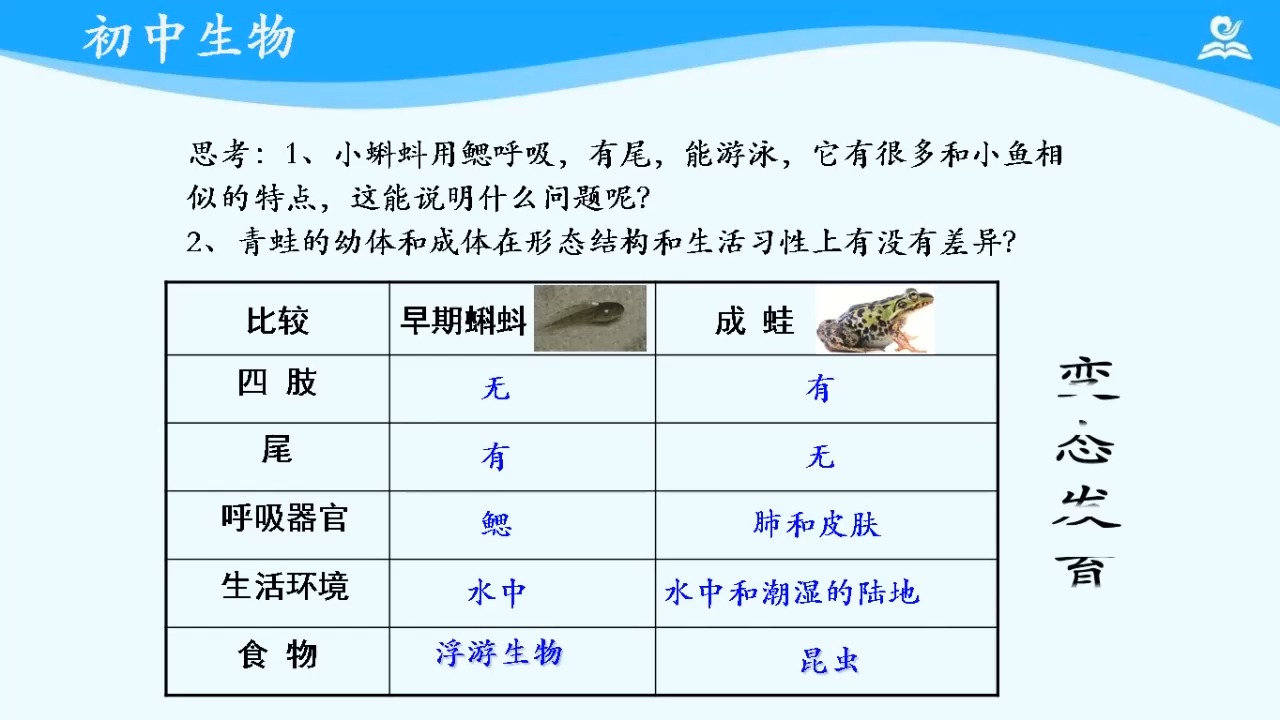 两栖类动物的发育过程图片