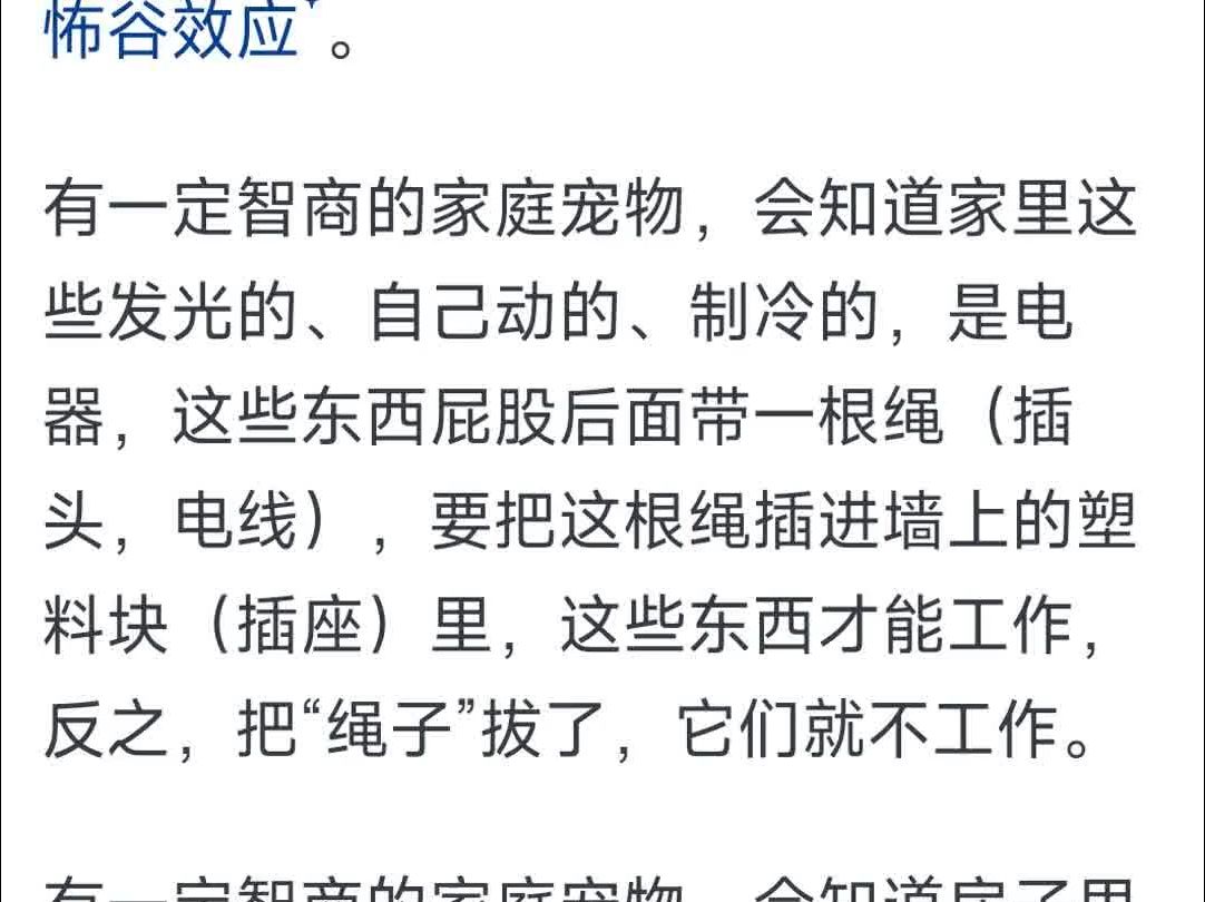 边牧作为智力排名第一的狗,为什么很多人还是不愿意养?哔哩哔哩bilibili