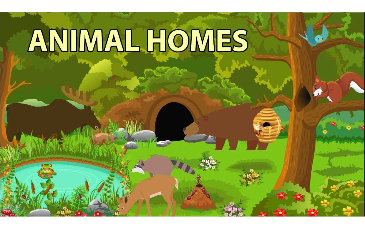 [图]L1 Different Animal Homes