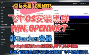 Video herunterladen: 终极NTR,黑群晖安装到飞牛os非Docker,飞牛os安装黑群晖,软路由,Win直通Sata控制器,网卡,共享核显