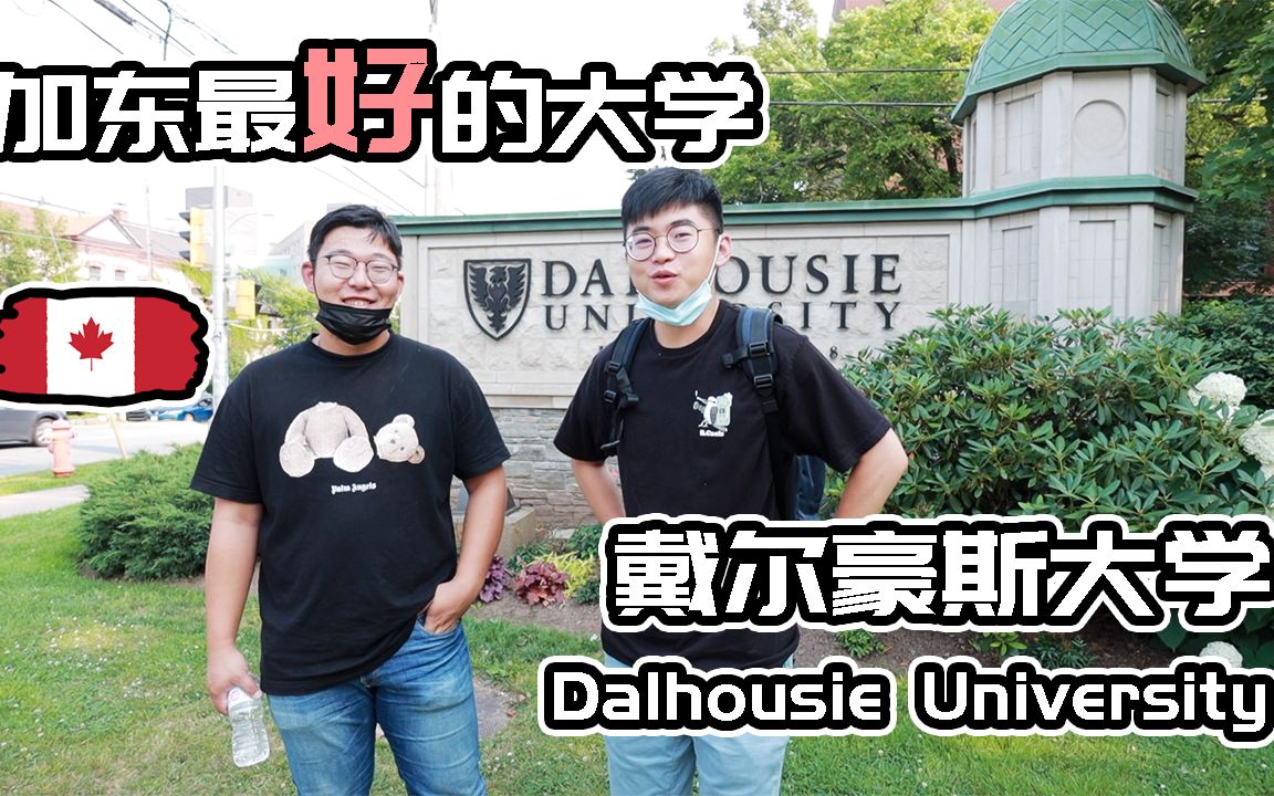 加拿大海洋四省最好的大学戴尔豪斯大学Dalhousie University | 如何在Dalhousie 如何选择专业?哔哩哔哩bilibili