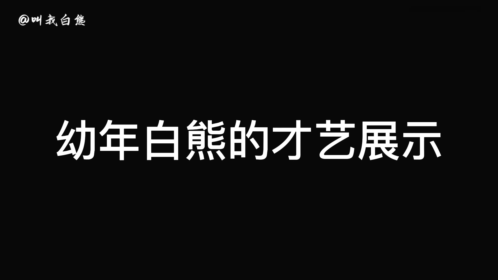 幼年白熊的才艺表演哔哩哔哩bilibili