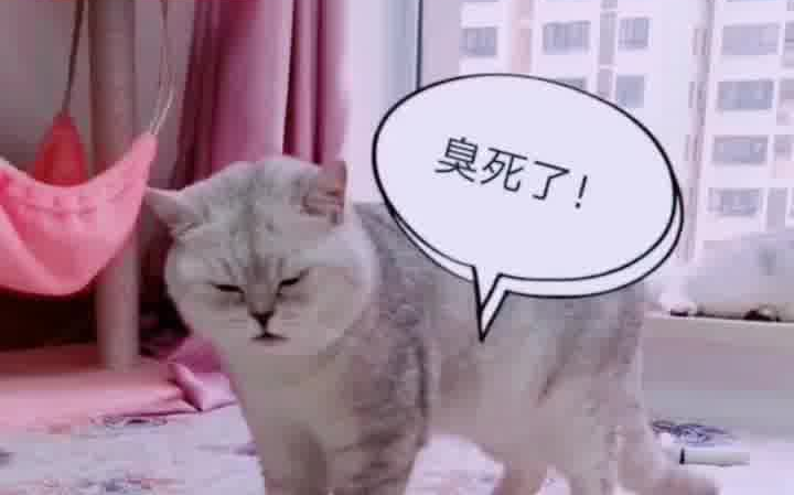 好臭啊你放臭屁了