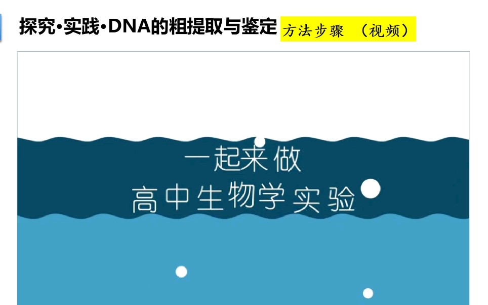 DNA的粗提取与鉴定实验哔哩哔哩bilibili