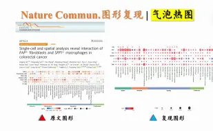 Скачать видео: Nature Commun.图形复现 | 气泡热图