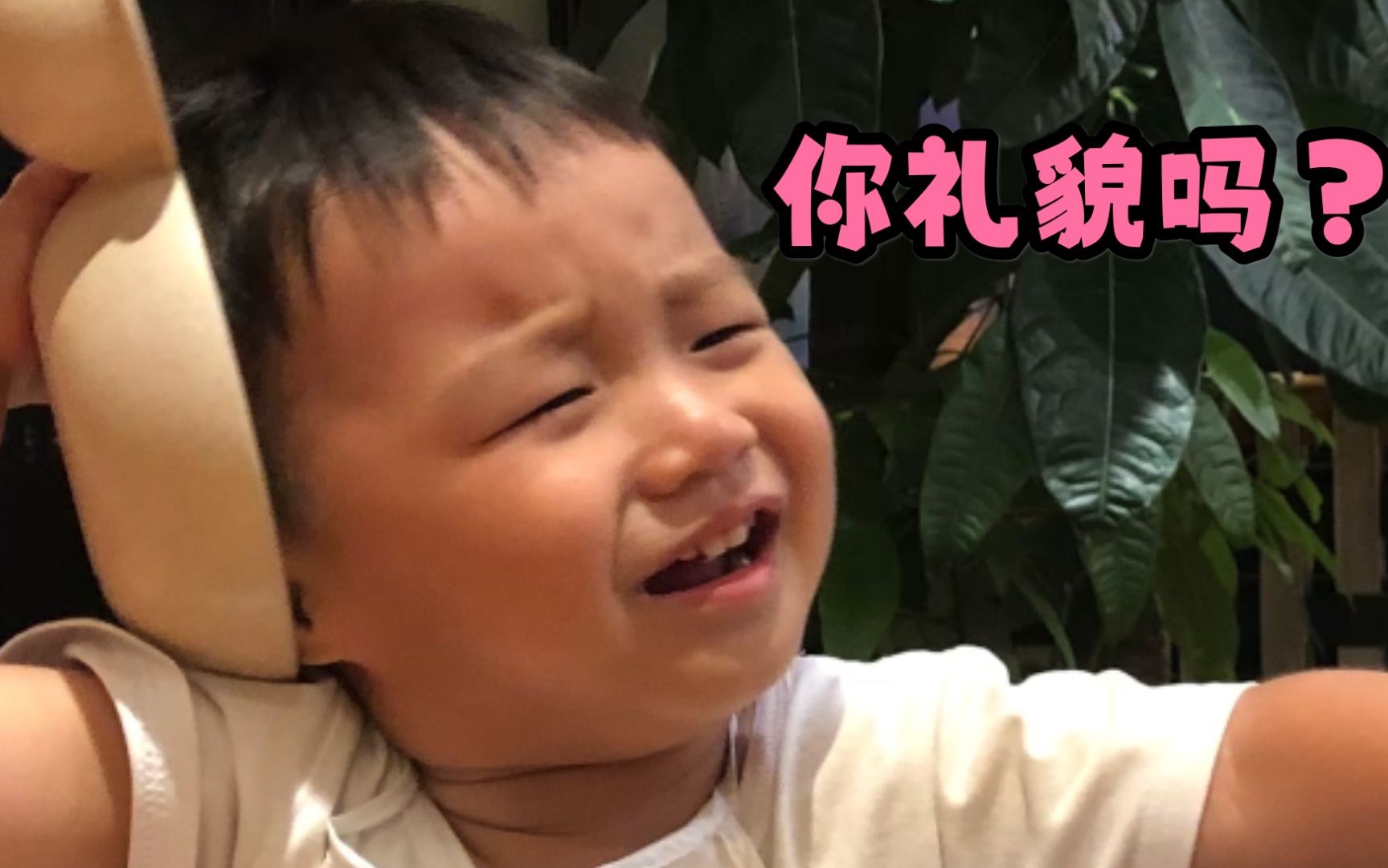 2岁!人类幼崽!表情包富有者!哔哩哔哩bilibili