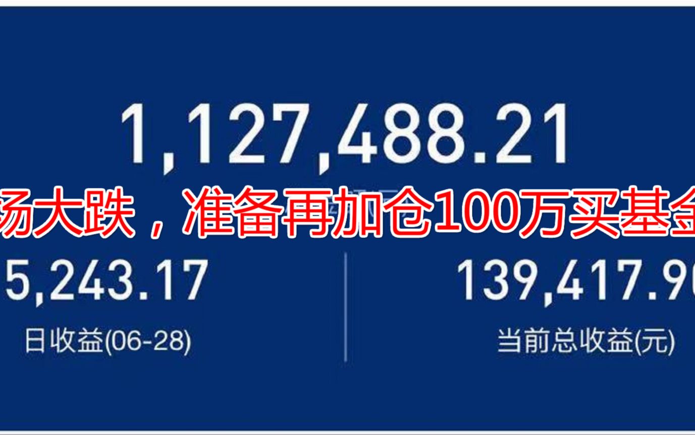 市场大跌,准备再加仓100万买基金!哔哩哔哩bilibili