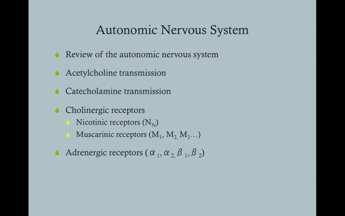 [图]Autonomic Nervous System - 自主神经系统