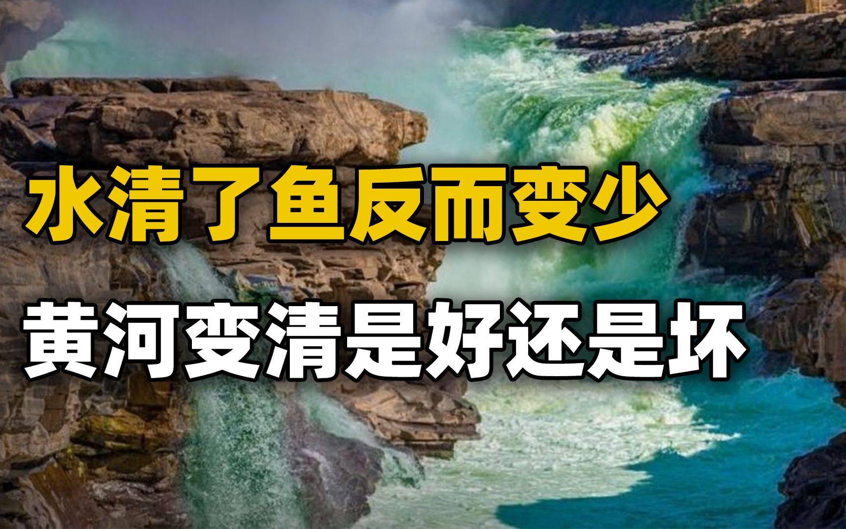 [图]黄河水变绿正在成为现实，里面鱼类不增反少，是好事还是坏事？