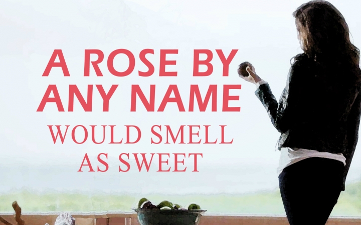 【肖根】A rose by any name 丧心病狂舔颜AA (个人向)哔哩哔哩bilibili