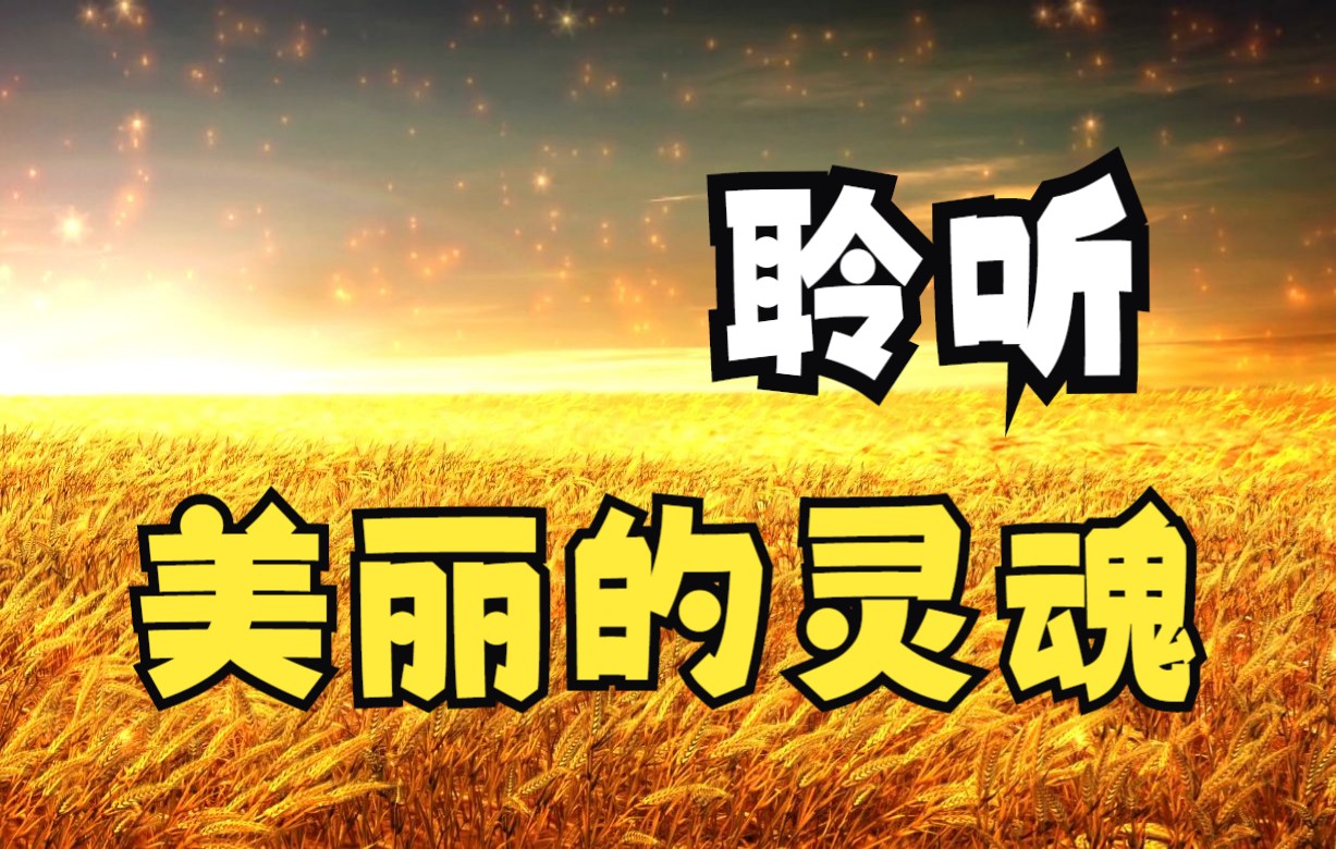 美丽的灵魂音乐-花魁的高贵