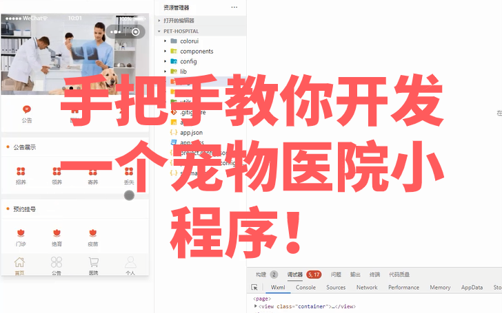 手把手教你开发一个宠物医院小程序!哔哩哔哩bilibili