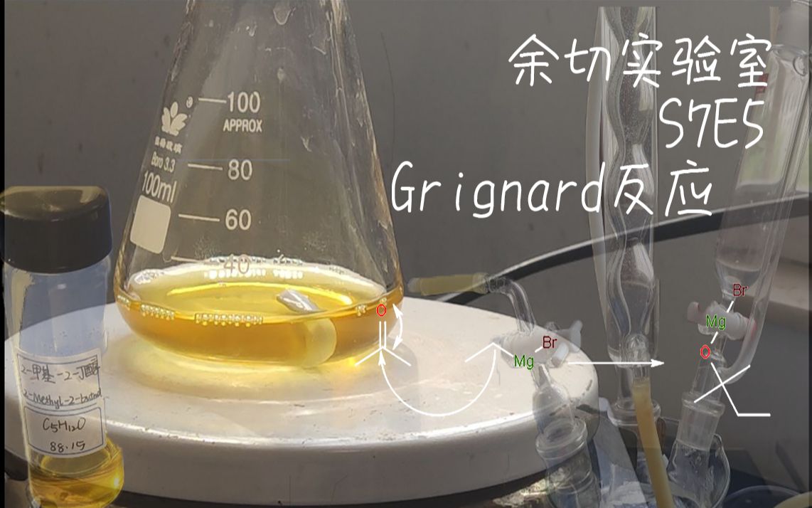 【有机合成】3# Grignard反应:叔戊醇的合成哔哩哔哩bilibili