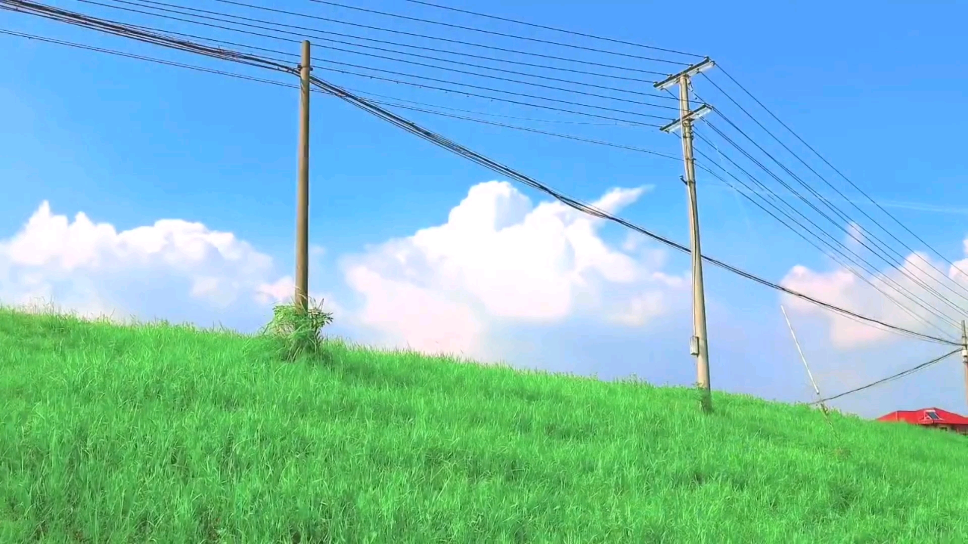 走进现实动漫场景,宫崎骏的夏天