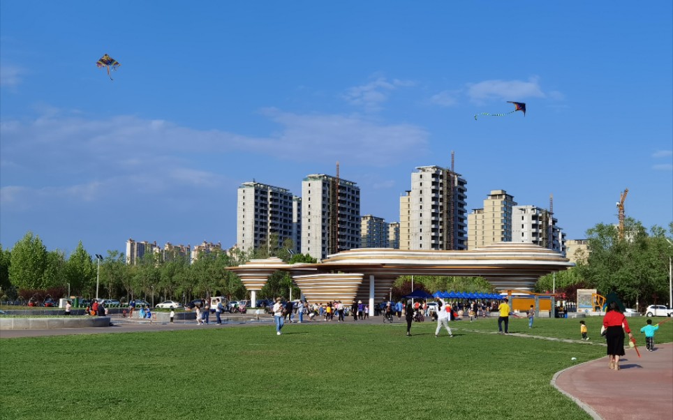 东营植物园东门 莲池 喷泉 放风筝