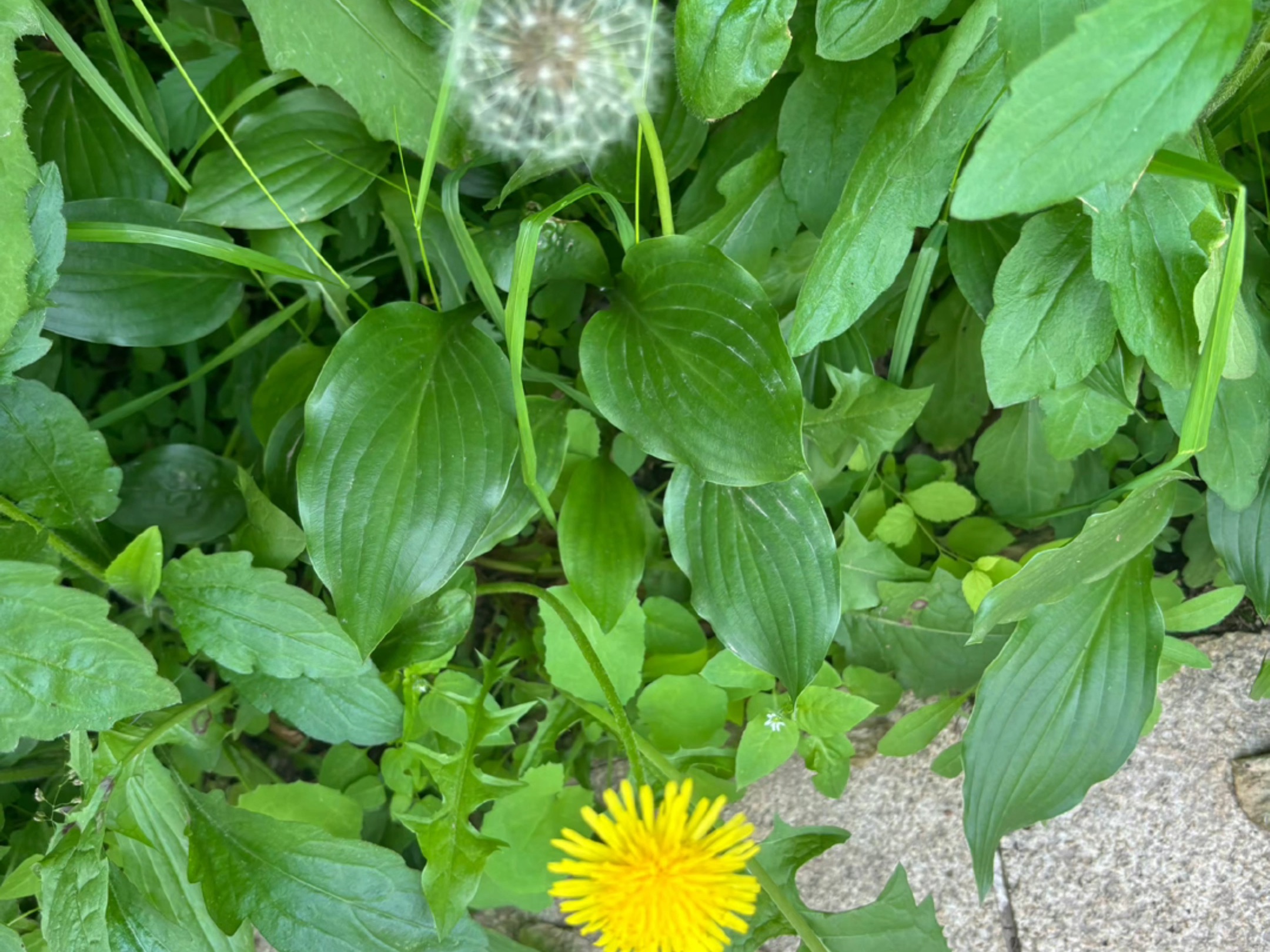 虚虚实实,实实虚虚.实者虚之,虚者实之. 哔哩哔哩bilibili