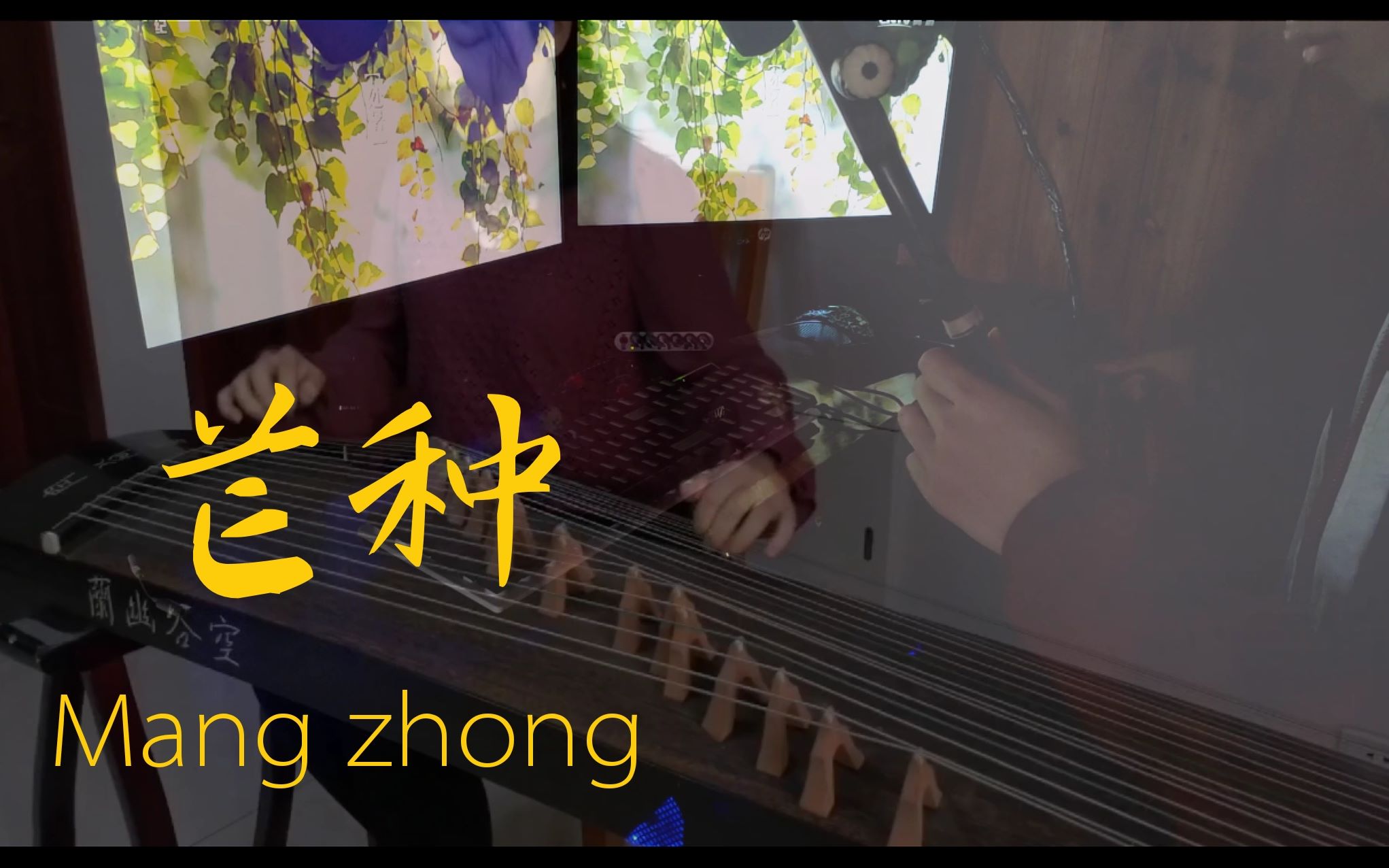 二胡古筝芒种一想到你我就wu云合奏