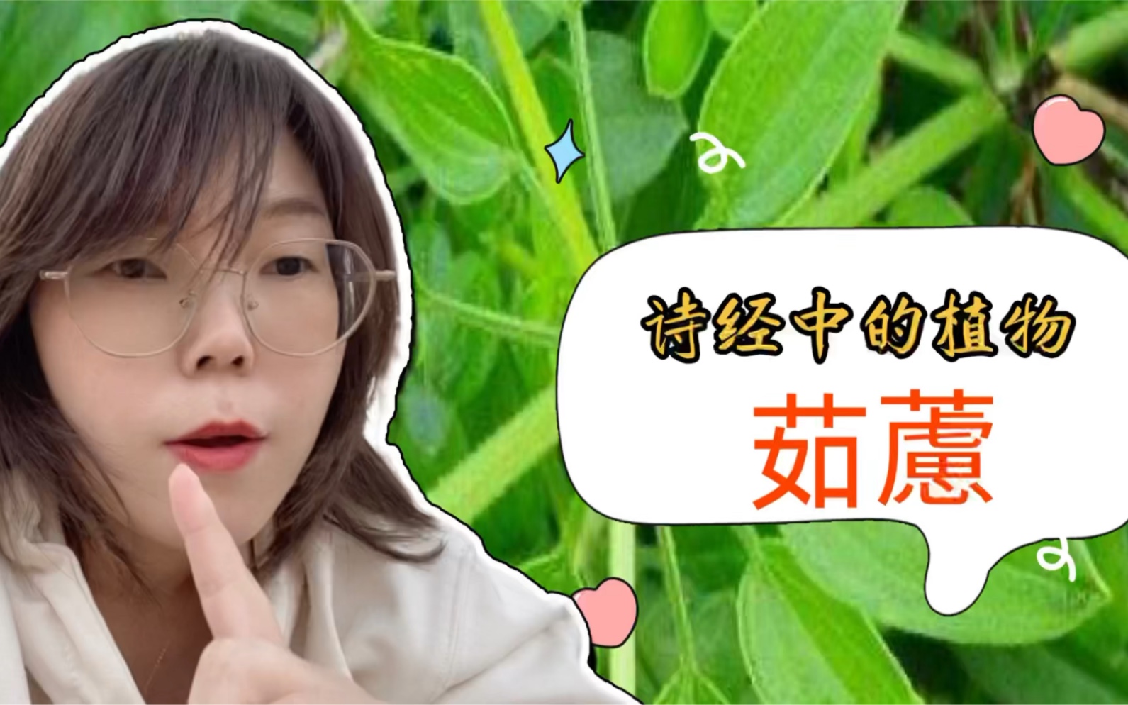 [图]诗经中的植物茹藘：我们常见的茜草，古人用来说明爱情距离的远近