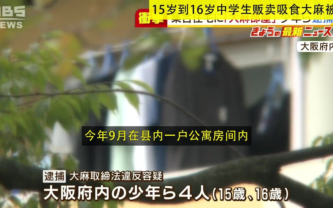 日本 15岁到16岁中学生贩卖吸食大麻被捕 放风的初中生可以免费(20211018)哔哩哔哩bilibili