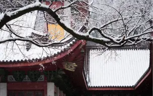 Video herunterladen: 杭州灵隐寺雪景｜一年岁暮听落雪，静待春来万物生