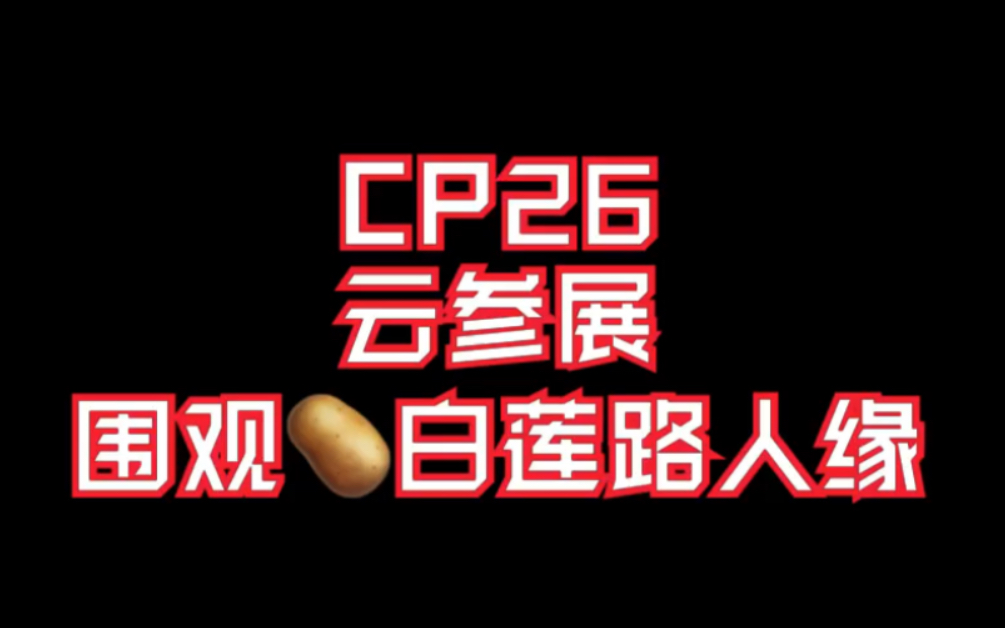 【CP26】2020特色节目哔哩哔哩bilibili