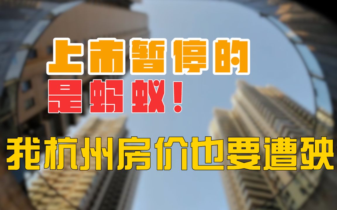 你蚂蚁集团上不了市关我杭州房价屁事?为啥我也要遭殃?哔哩哔哩bilibili