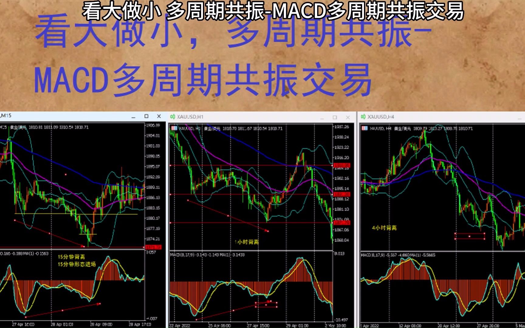 看大做小,多周期共振MACD多周期共振交易 期货外汇交易系统哔哩哔哩bilibili