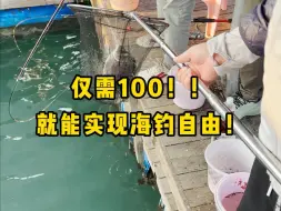 Download Video: 出海钓鱼2天一夜只需100