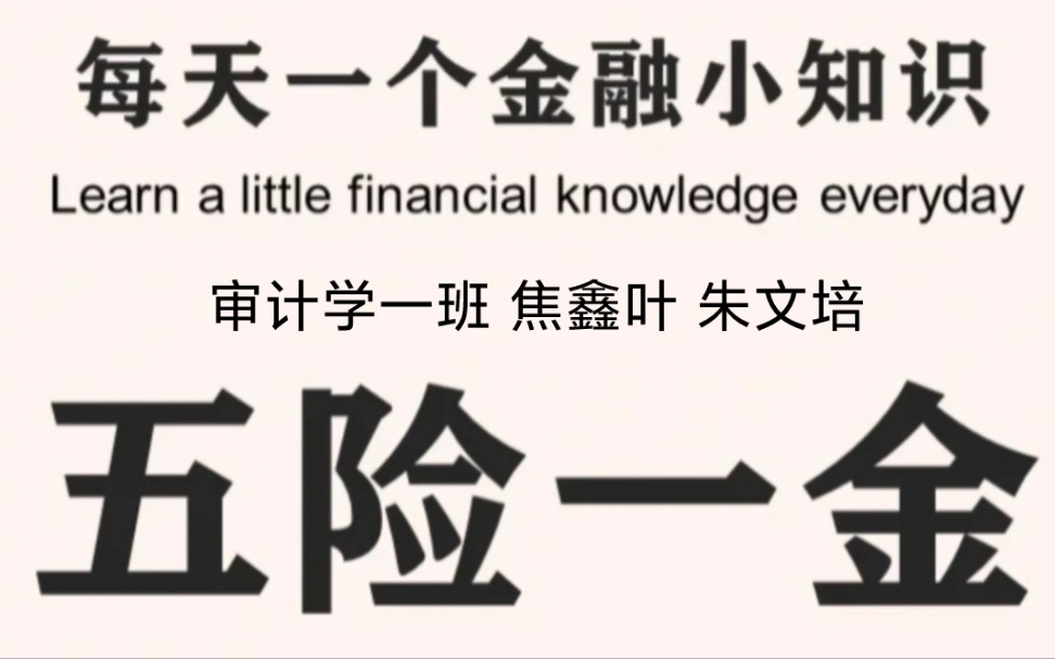 每天一个金融小知识五险一金哔哩哔哩bilibili