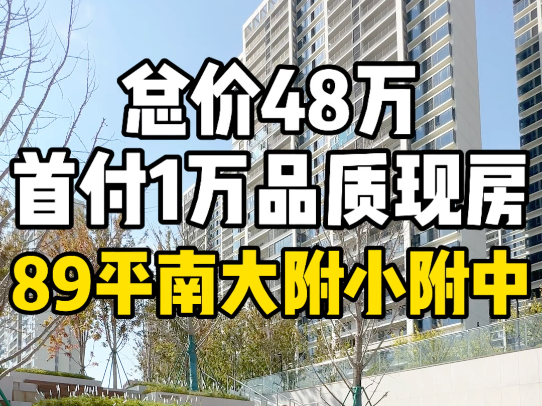 总价48万,首付1万,女孩子婚前搞一套自己的红谷滩旁现房,读南大附小附中.哔哩哔哩bilibili