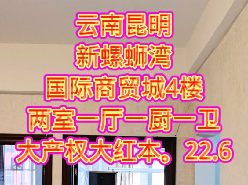 云南昆明新螺蛳湾国际商贸城4楼两室一厅一厨一卫大产权大红本.22.6哔哩哔哩bilibili