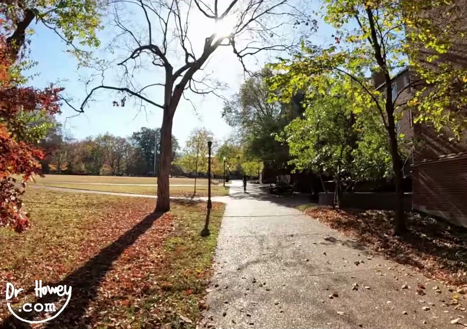 美帝 范德堡大学慢跑实景 跑步机跑步 健步走 有氧训练背景哔哩哔哩bilibili