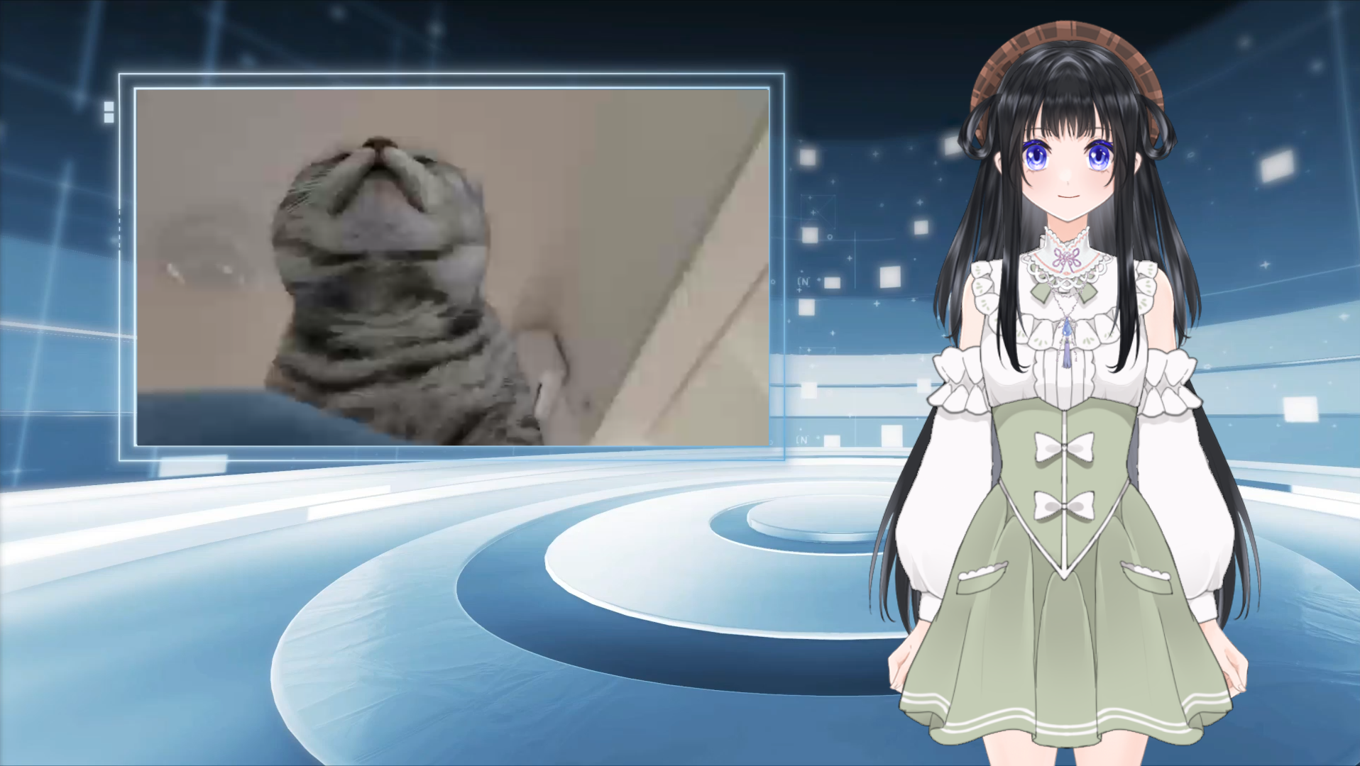 活动作品猫的部分介绍