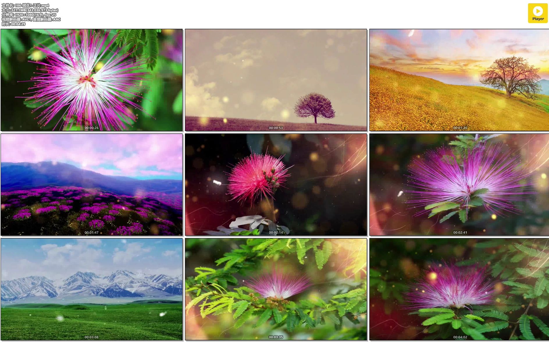 186-绒花1-led高清大屏幕演艺舞台背景视频_哔哩哔哩_bilibili