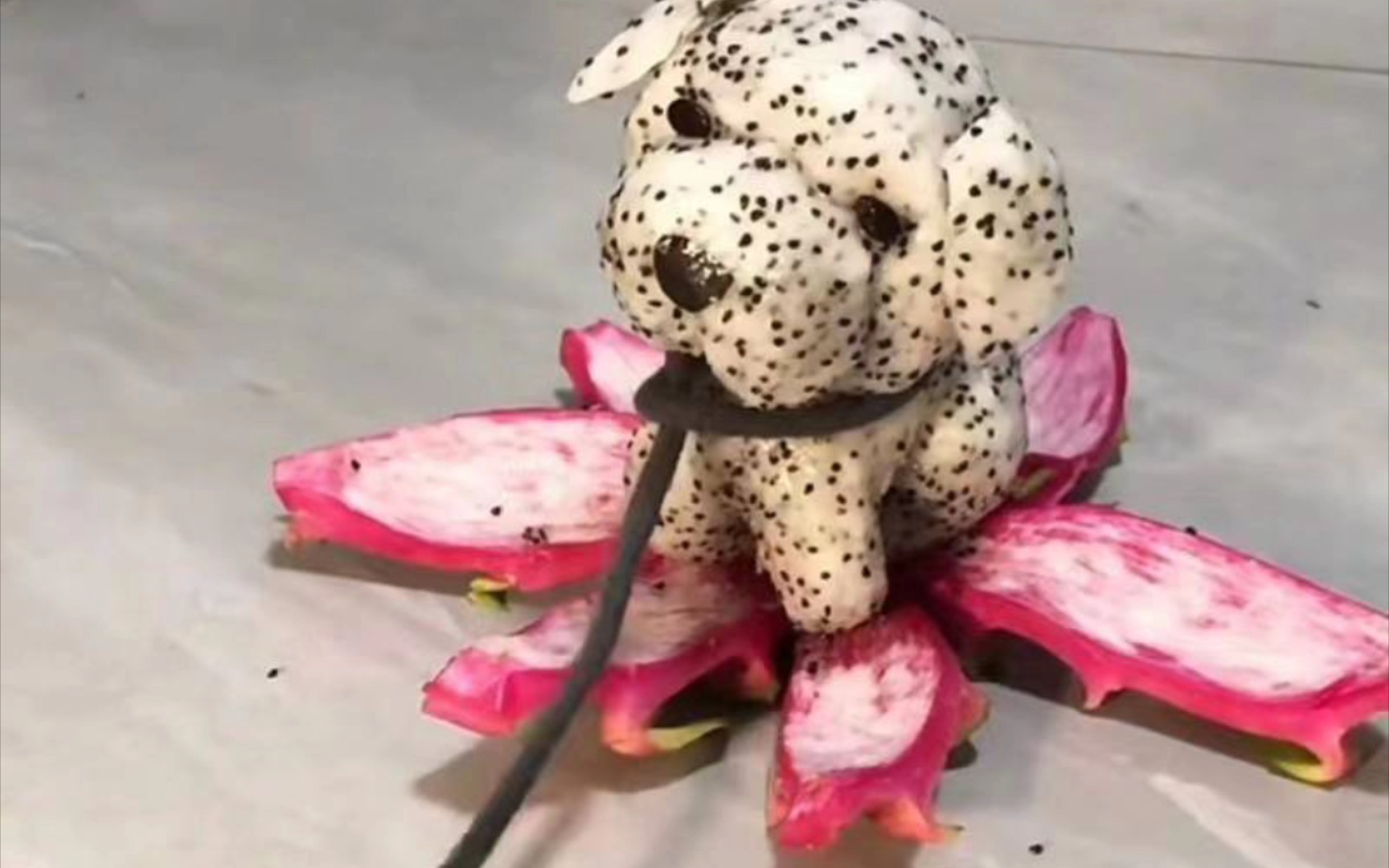 创意火龙果小狗,你值得拥有!