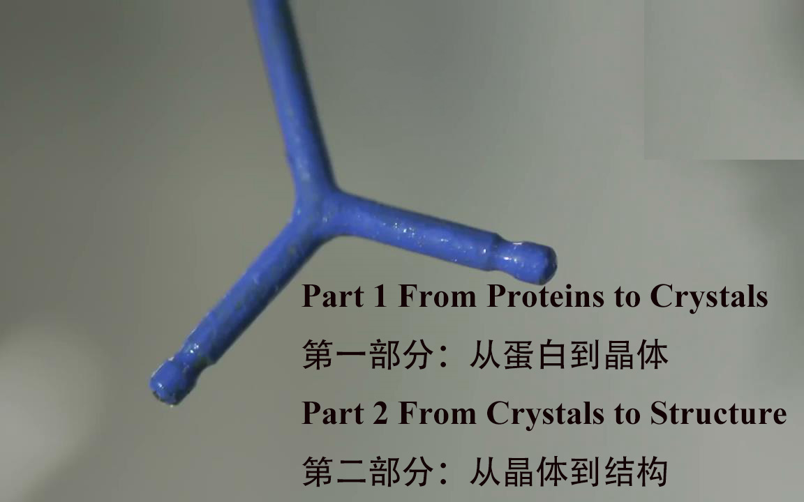 [图]【结构生物学】-结晶学（Crystallography）简介