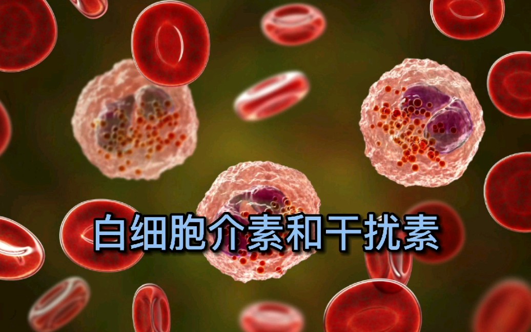 白细胞介素和干扰素有何作用?患有这些疾病的人群最好了解一下!