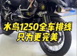 Download Video: 宝马水鸟1250黑武士全车走线，只为更完美。