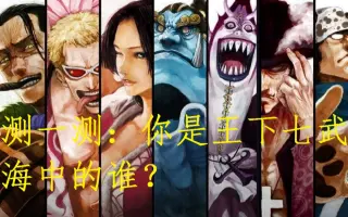 七武海 搜索结果 哔哩哔哩 Bilibili