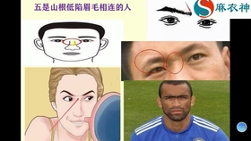 如何从手相看急躁人的性格 麻衣相师 乱纹如抖糠 哔哩哔哩 つロ干杯 Bilibili 如何从手相看急躁人的性格 麻衣相师 乱纹如抖糠 哔哩哔哩 つロ干杯 Bilibili