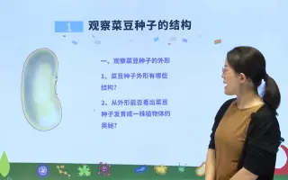 种子植物分类 搜索结果 哔哩哔哩 Bilibili